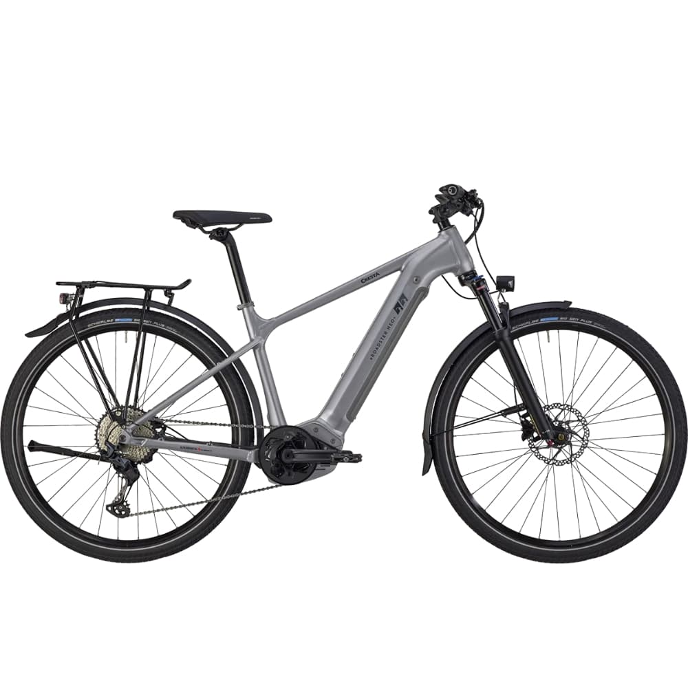 Cresta eRoadster Neo+