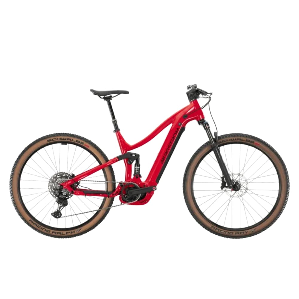 Bergstrom XCV 849
