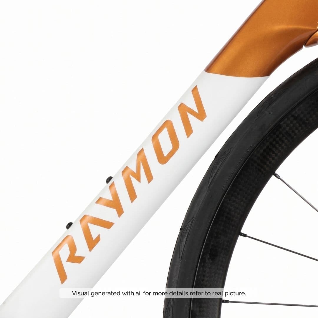 005cdc066bd3cd3a0bad9cf8aadaa0814ebe87ad_Raymon_Arva_Comp_orange2.jpg