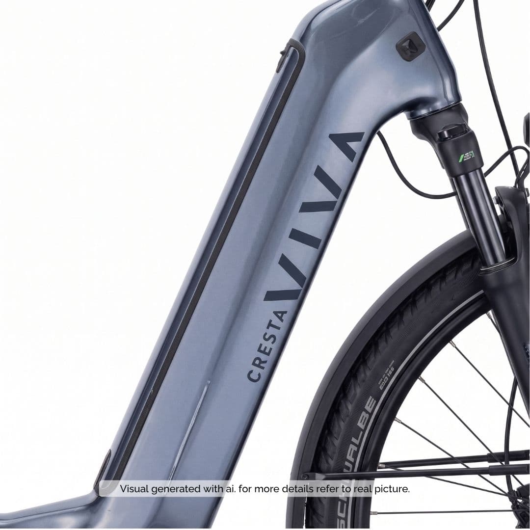 66bc90d464b4eaabf3295984c0631db94a836c6f_Cresta_eViva_GT_25km_h_800Wh_blue1.jpg
