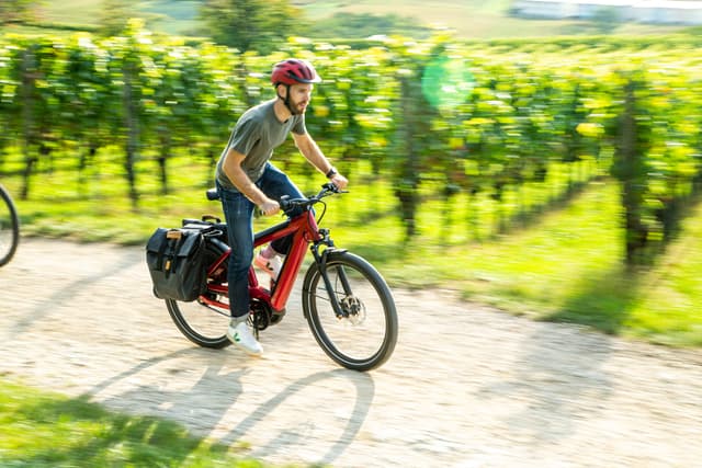 Trekking E-Bikes
