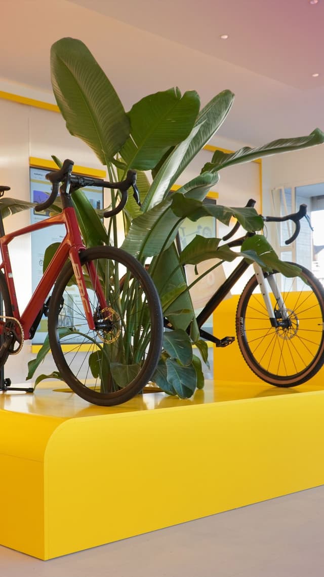Book your testride
